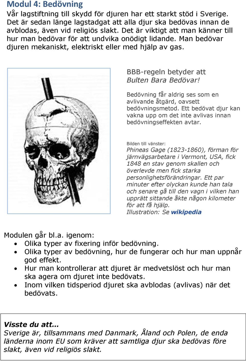 Bedövning får aldrig ses som en avlivande åtgärd, oavsett bedövningsmetod. Ett bedövat djur kan vakna upp om det inte avlivas innan bedövningseffekten avtar.