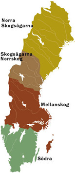 --6 Samarbete med skogsägare Skelleftekraft Norra Skogsägarna Norrskog Mellanskog X, Y, AC län skogsägare mer än milj.