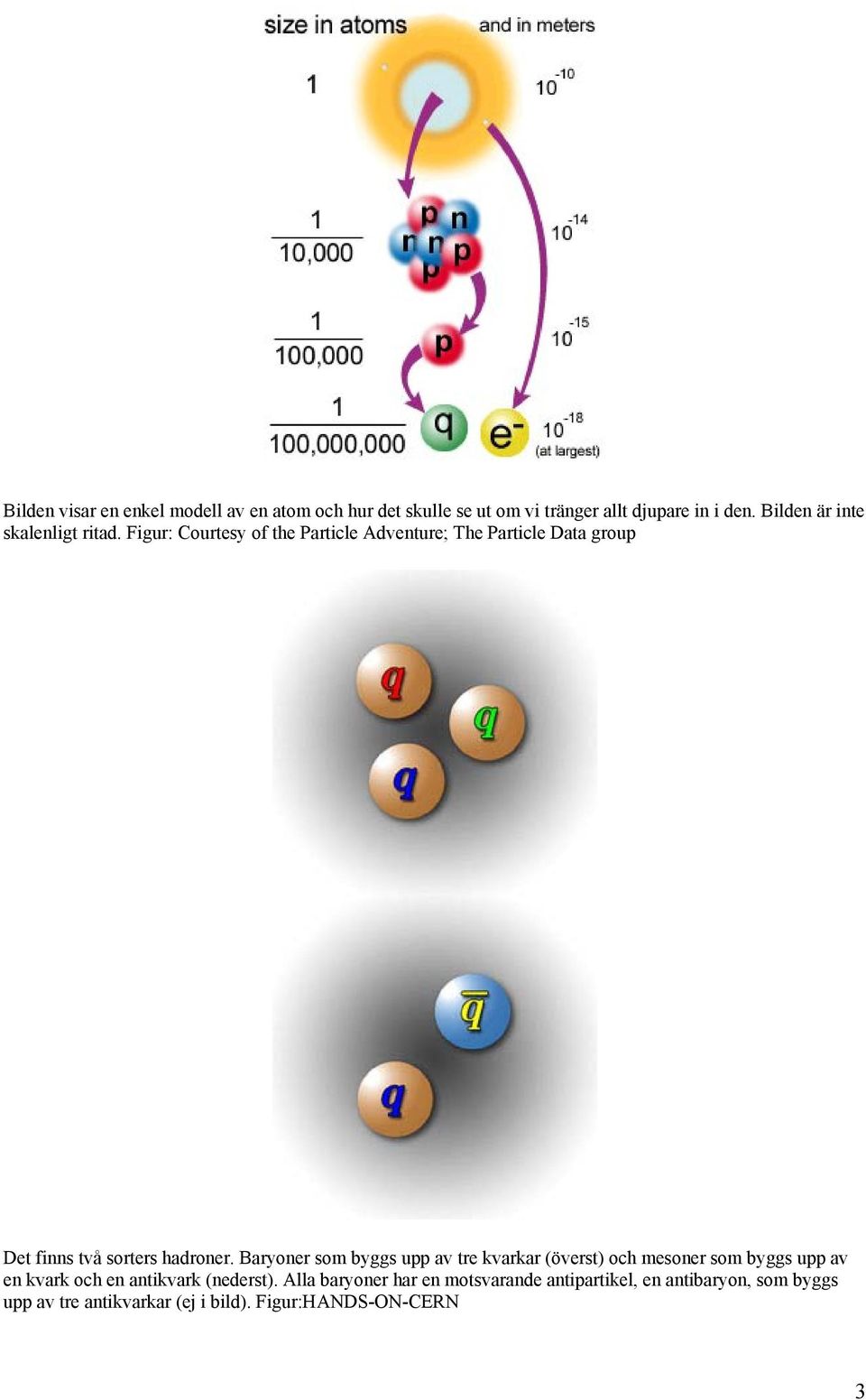 Figur: Courtesy of the Particle Adventure; The Particle Data group Det finns två sorters hadroner.