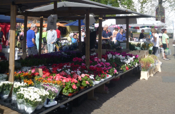 Försäljning av växter på Varbergs torg 2014. besökare. Torgvärden lägger på torgdagens morgon ut fördelningslistor där försäljaren skriver upp antal önskade meter, namn och produkt.