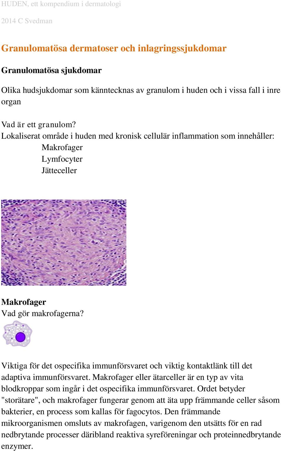 Viktiga för det ospecifika immunförsvaret och viktig kontaktlänk till det adaptiva immunförsvaret. Makrofager eller ätarceller är en typ av vita blodkroppar som ingår i det ospecifika immunförsvaret.