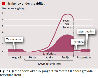 adolescents before and after the withdrawal of the general iron fortification in Sweden Gunnarsson et al, Acta paediatrica 2007, 391-395.