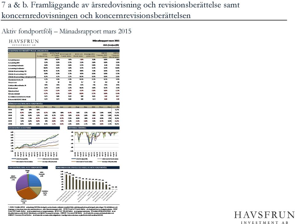 revisionsberättelse samt