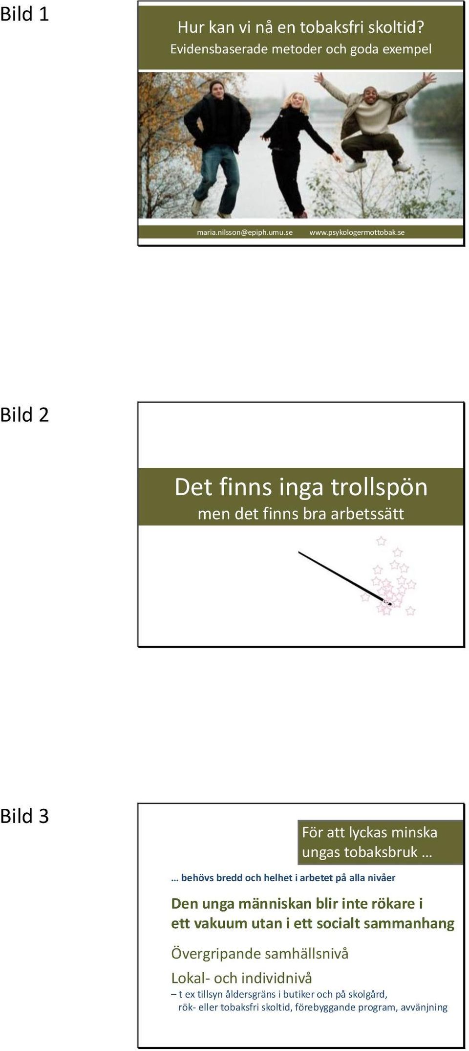 helhet i arbetet på alla nivåer Den unga människan blir inte rökare i ett vakuum utan i ett socialt sammanhang Övergripande