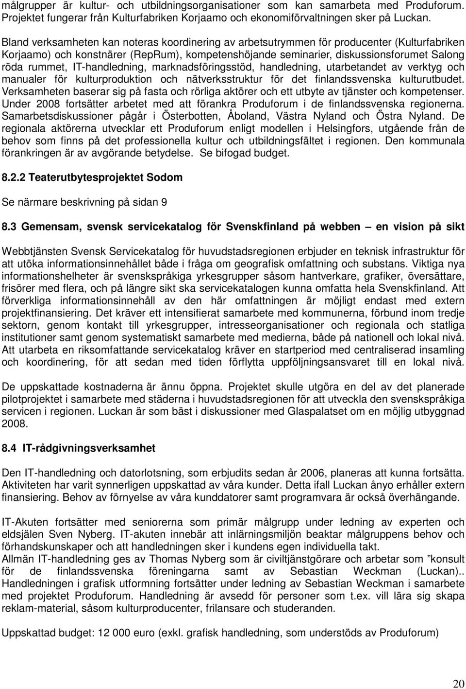 IT-handledning, marknadsföringsstöd, handledning, utarbetandet av verktyg och manualer för kulturproduktion och nätverksstruktur för det finlandssvenska kulturutbudet.