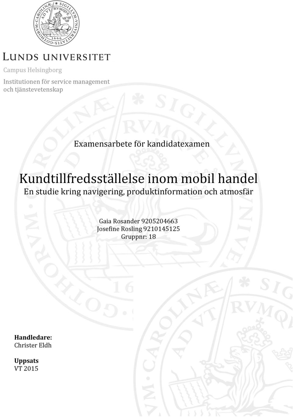 studie kring navigering, produktinformation och atmosfär Gaia Rosander