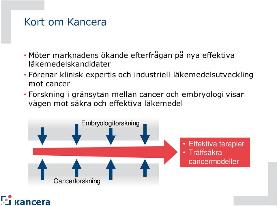 mot cancer Forskning i gränsytan mellan cancer och embryologi visar vägen mot säkra