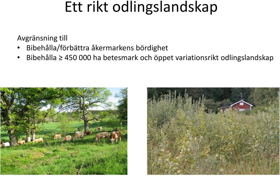 bördighet Bibehålla 450 000 ha