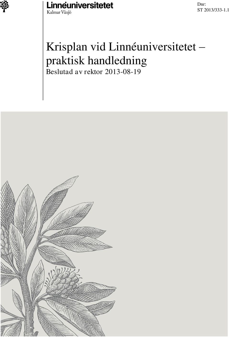 praktisk handledning