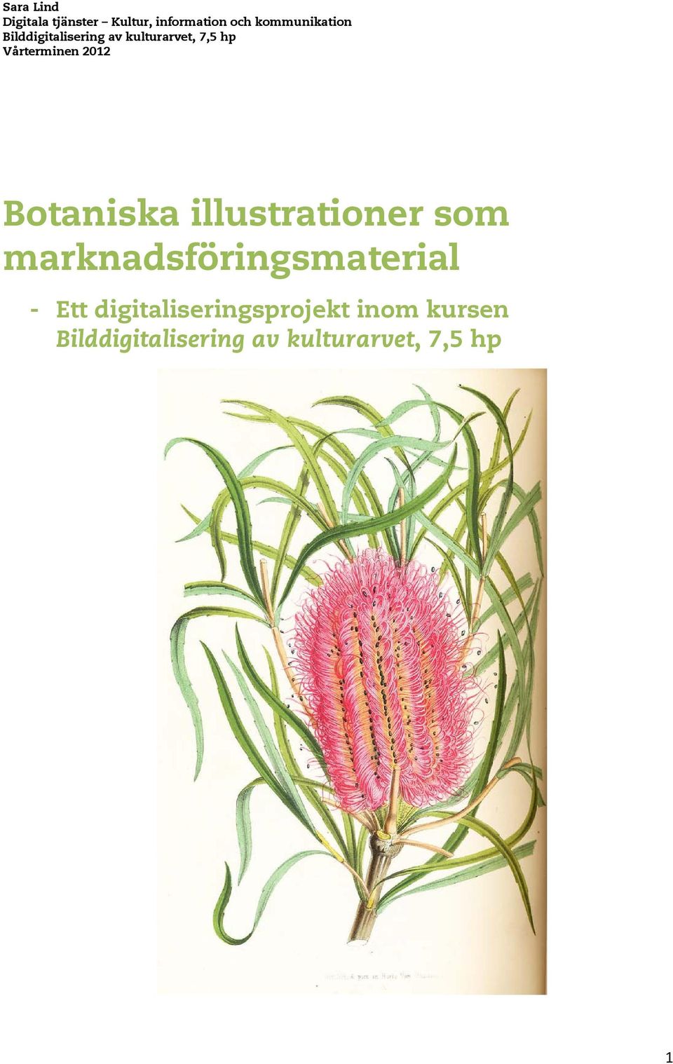 Botaniska illustrationer som marknadsföringsmaterial - Ett