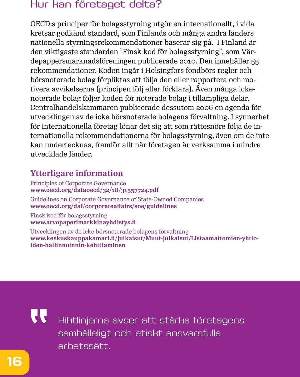 I Finland är den viktigaste standarden Finsk kod för bolagsstyrning, som Värdepappersmarknadsföreningen publicerade 2010. Den innehåller 55 rekommendationer.