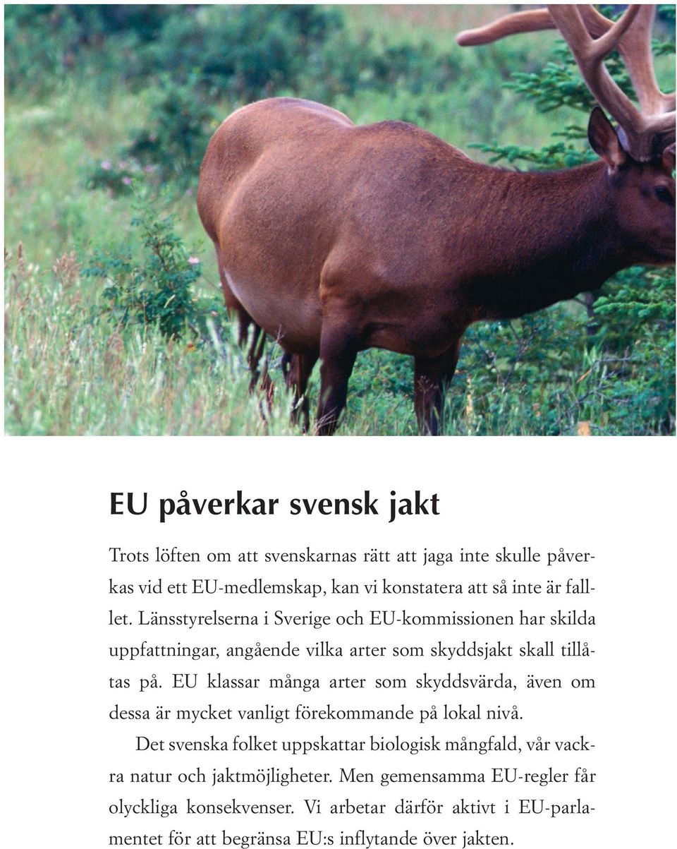 EU klassar många arter som skyddsvärda, även om dessa är mycket vanligt förekommande på lokal nivå.