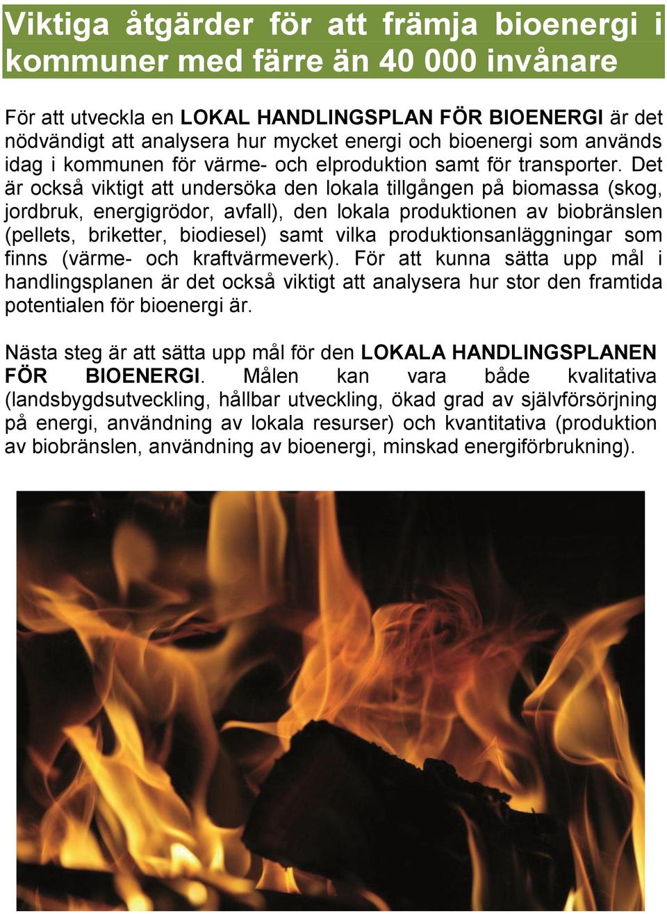 Det är också viktigt att undersöka den lokala tillgången på biomassa (skog, jordbruk, energigrödor, avfall), den lokala produktionen av biobränslen (pellets, briketter, biodiesel) samt vilka
