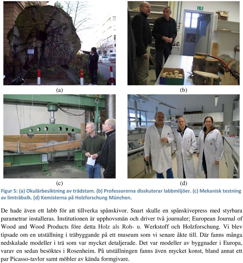 Institutionen är upphovsmän och driver två journaler; European Journal of Wood and Wood Products före detta Holz als Roh- u. Werkstoff och Holzforschung.
