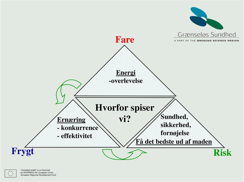 Sundhed, sikkerhed, fornøjelse Få det bedste ud af maden Risk