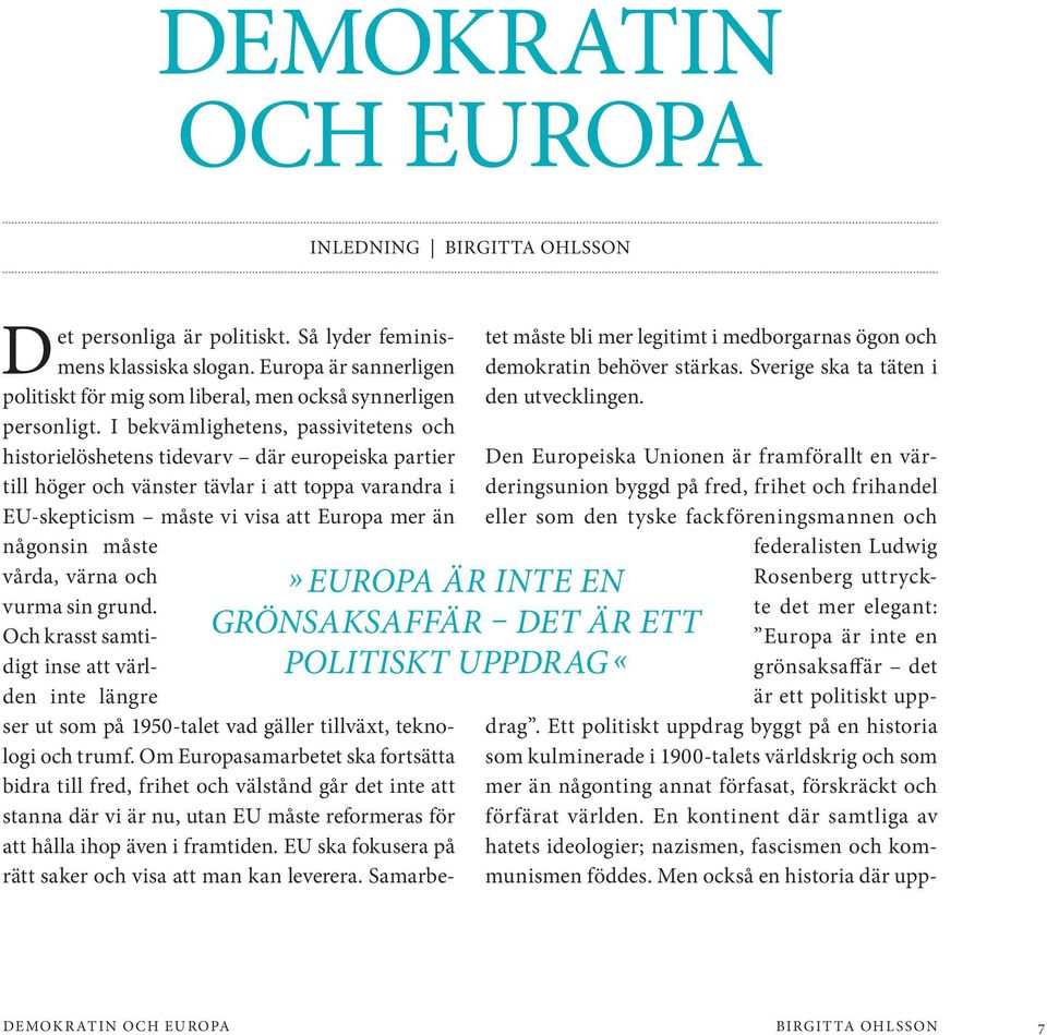 I bekvämlighetens, passivitetens och historielöshetens tidevarv där europeiska partier till höger och vänster tävlar i att toppa varandra i EU-skepticism måste vi visa att Europa mer än någonsin