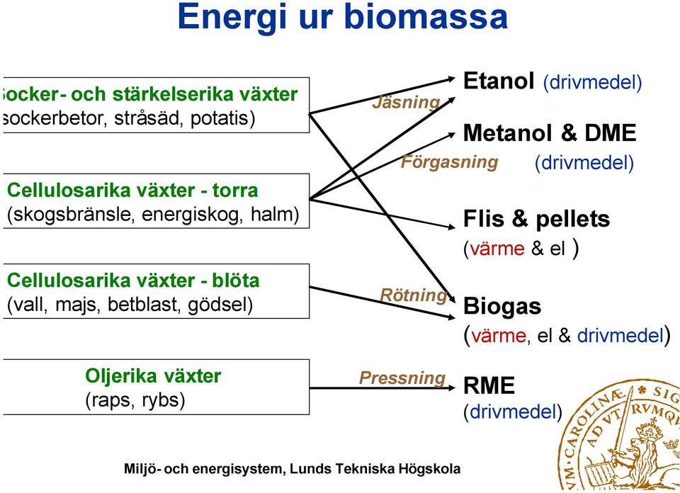 betblast, gödsel) Jäsning Förgasning Rötning Etanol (drivmedel) Metanol & DME (drivmedel) Flis &