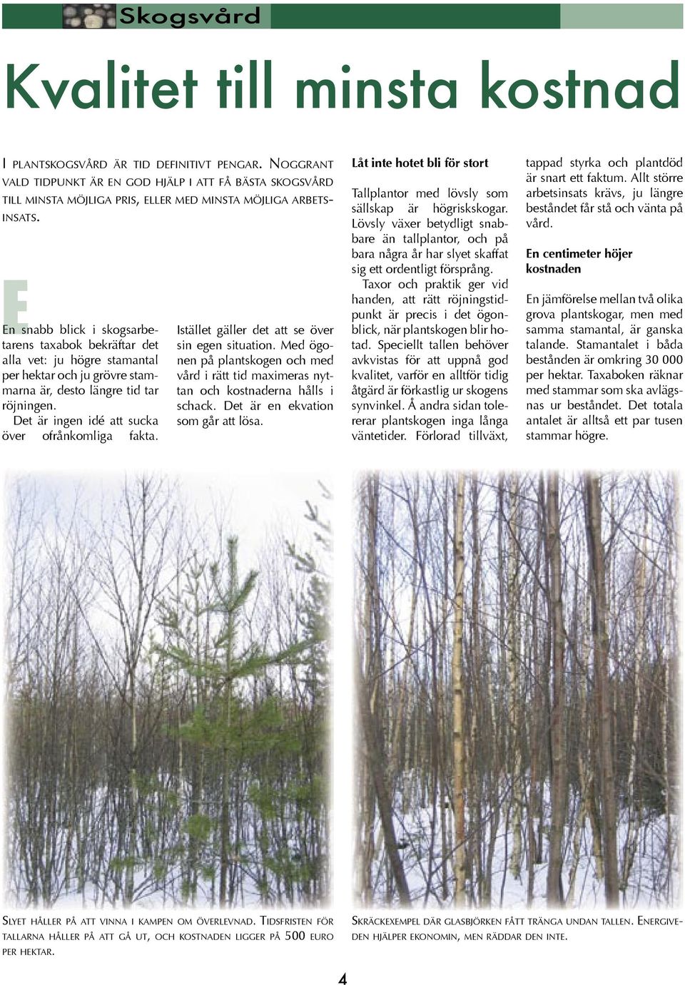 En snabb blick i skogsarbetarens taxabok bekräftar det alla vet: ju högre stamantal per hektar och ju grövre stammarna är, desto längre tid tar röjningen.