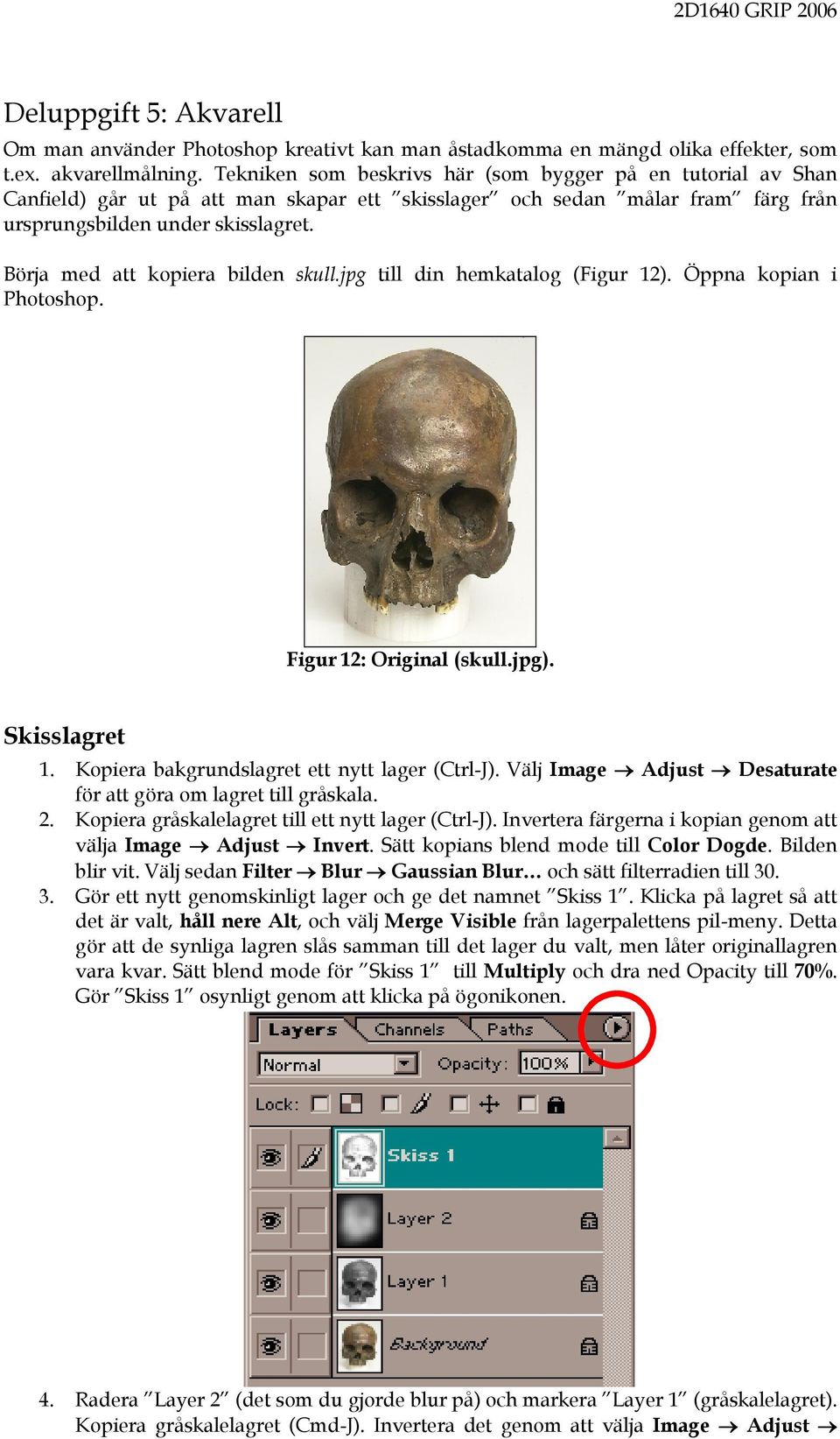 Börja med att kopiera bilden skull.jpg till din hemkatalog (Figur 12). Öppna kopian i Photoshop. Figur 12: Original (skull.jpg). Skisslagret 1. Kopiera bakgrundslagret ett nytt lager (Ctrl-J).