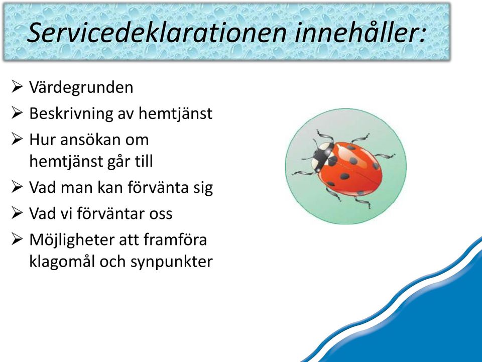 går till Vad man kan förvänta sig Vad vi