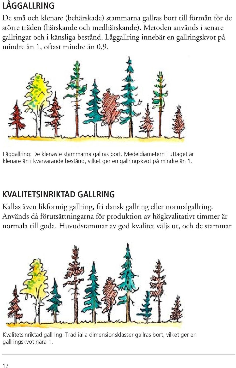 Medeldiametern i uttaget är klenare än i kvarvarande bestånd, vilket ger en gallringskvot på mindre än 1.