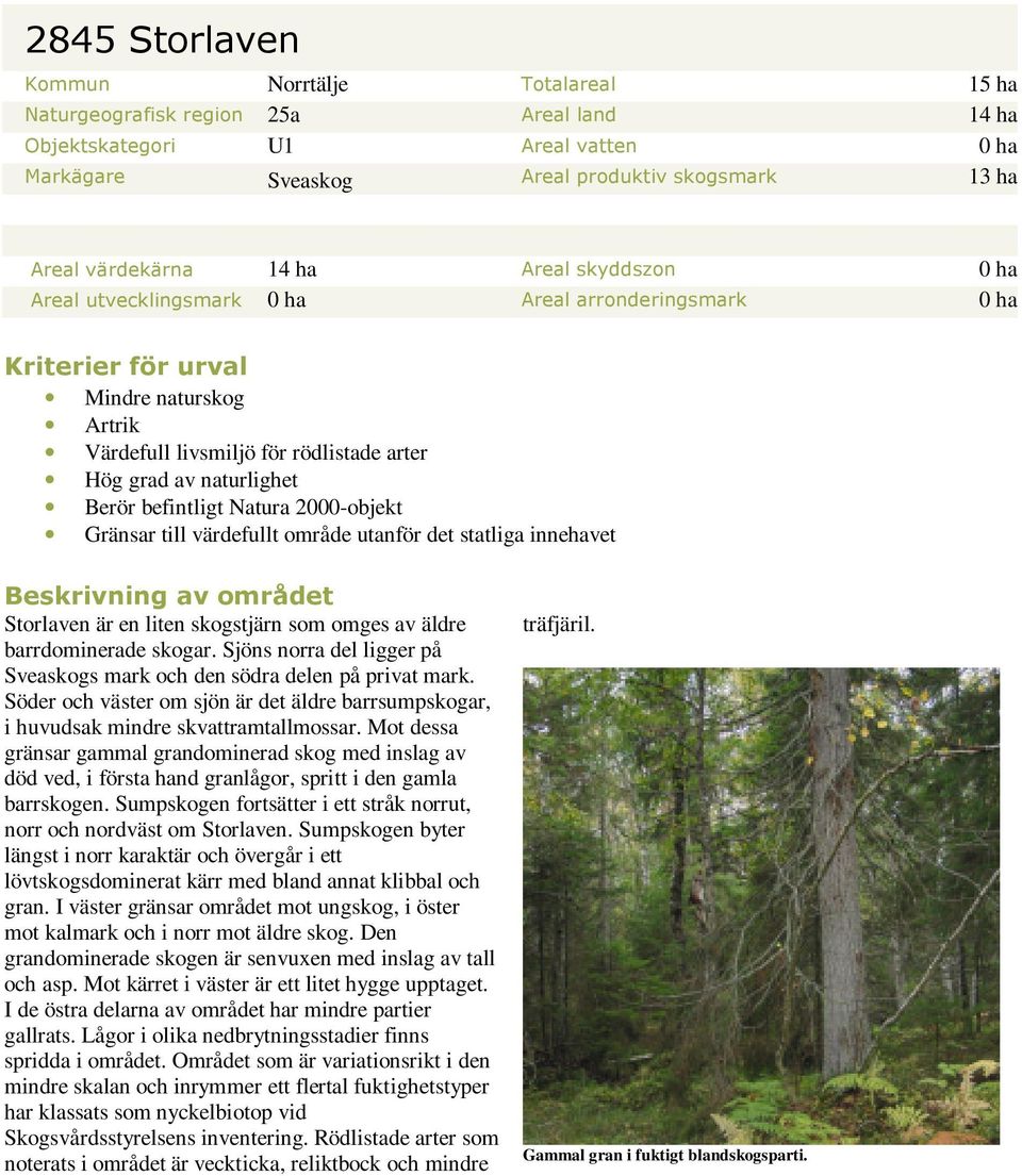 befintligt Natura 2000-objekt Gränsar till värdefullt område utanför det statliga innehavet Beskrivning av området Storlaven är en liten skogstjärn som omges av äldre barrdominerade skogar.