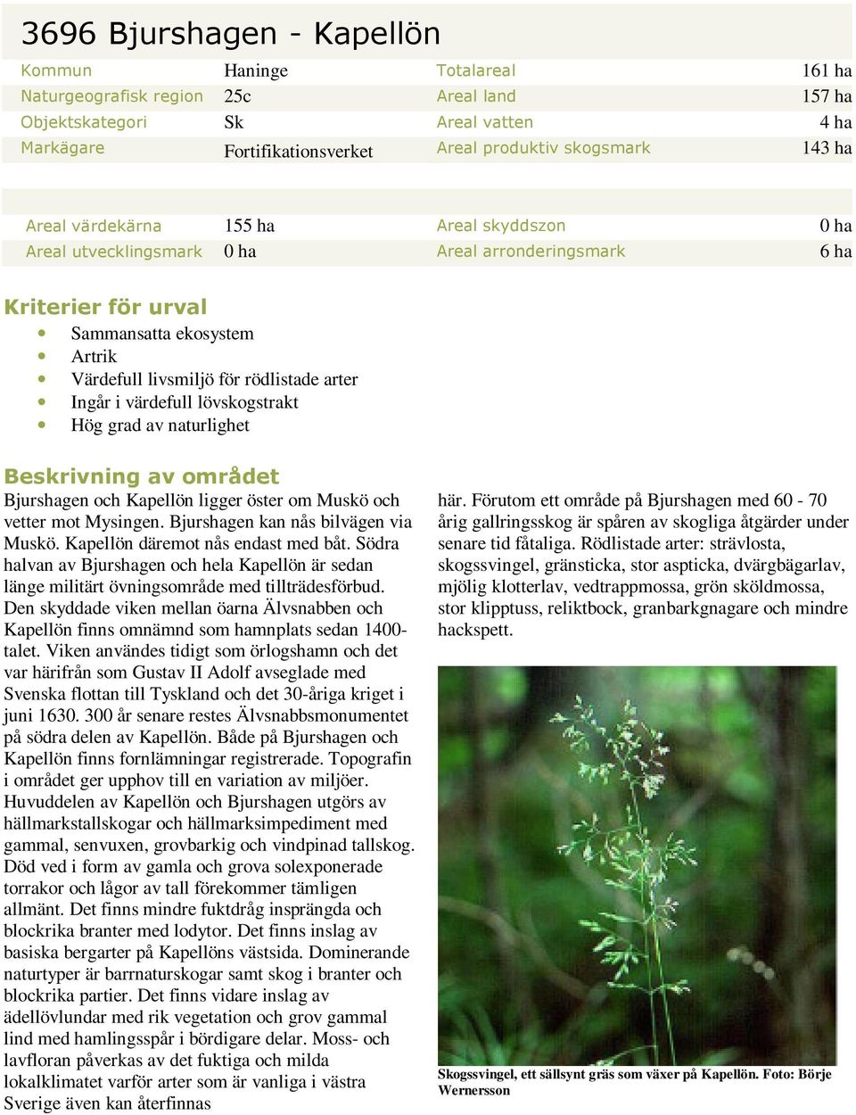 Ingår i värdefull lövskogstrakt Hög grad av naturlighet Beskrivning av området Bjurshagen och Kapellön ligger öster om Muskö och vetter mot Mysingen. Bjurshagen kan nås bilvägen via Muskö.