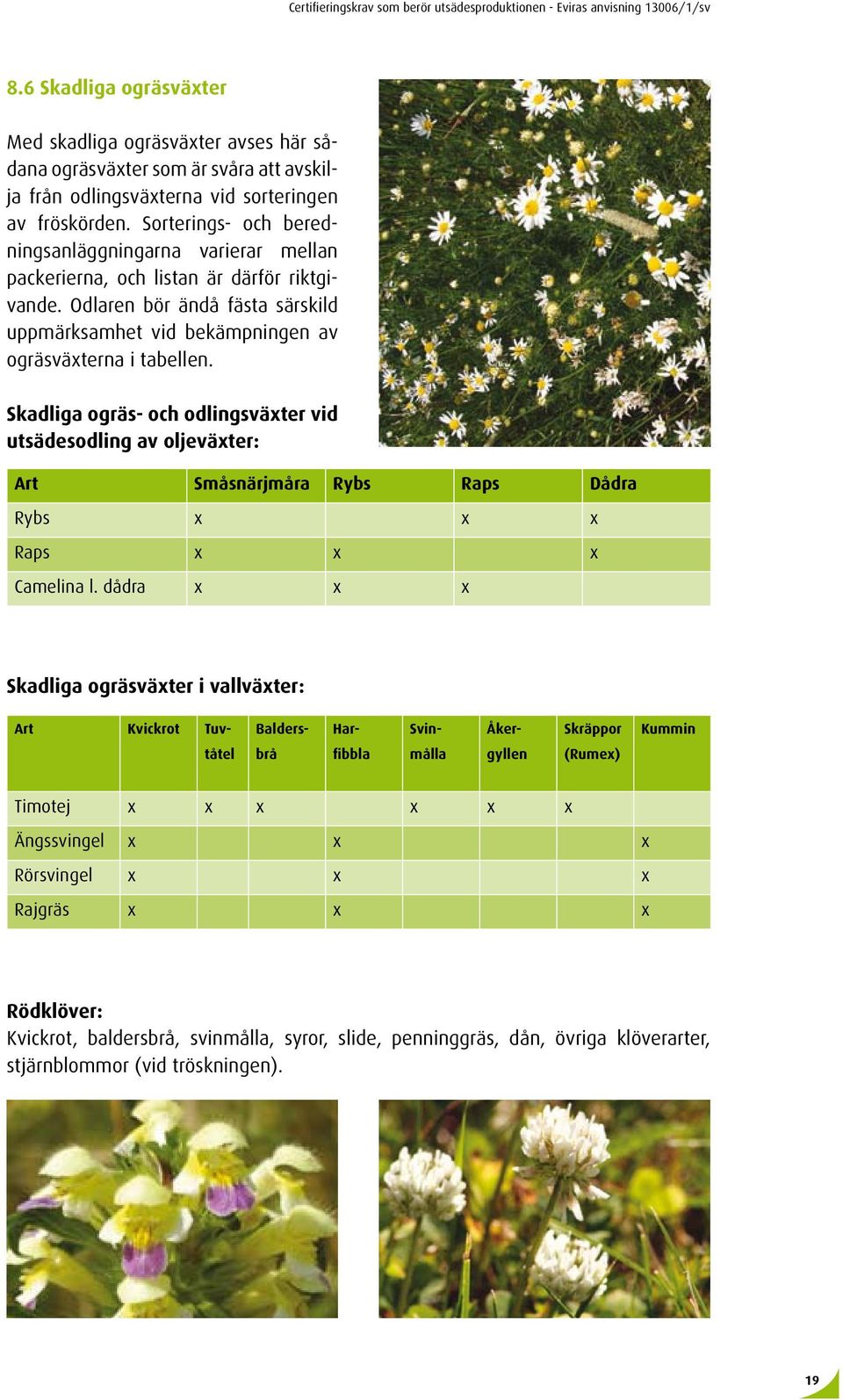 Sorterings- och beredningsanläggningarna varierar mellan packerierna, och listan är därför riktgivande. Odlaren bör ändå fästa särskild uppmärksamhet vid bekämpningen av ogräsväxterna i tabellen.