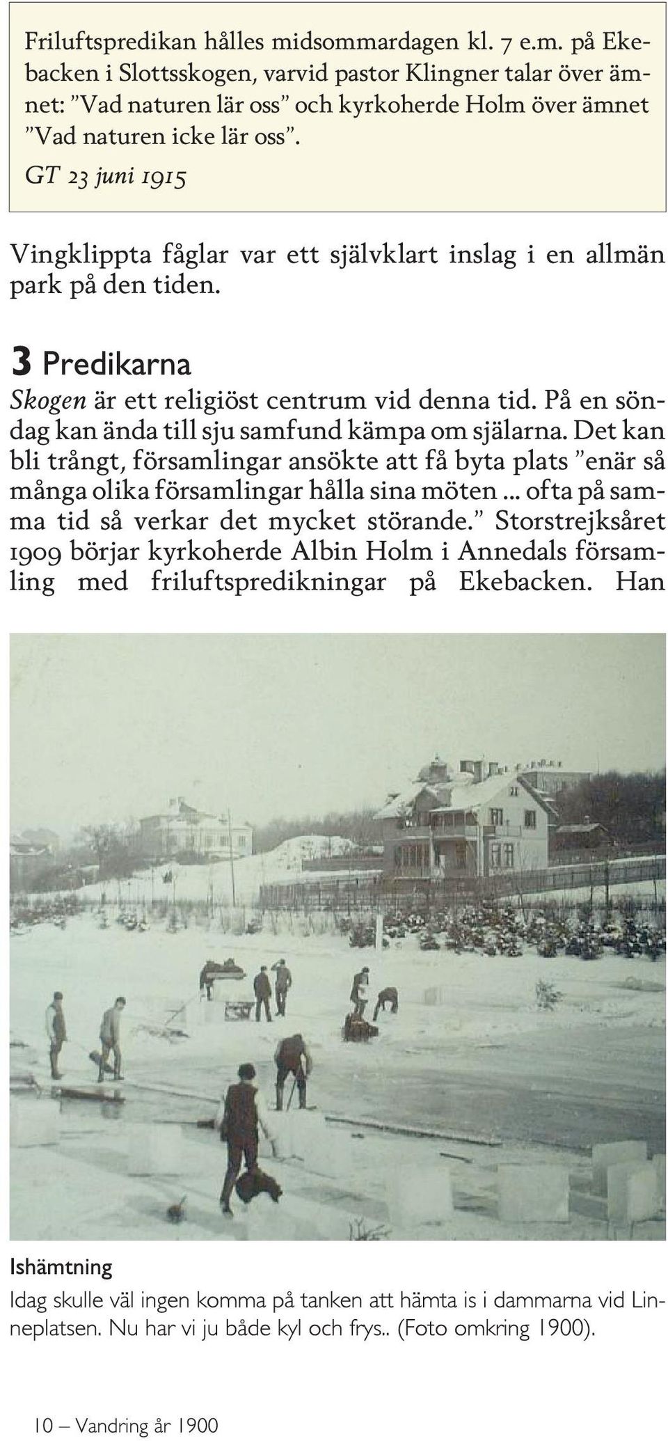 GT 23 juni 1915 Vingklippta fåglar var ett självklart inslag i en allmän park på den tiden. Skogen är ett religiöst centrum vid denna tid.