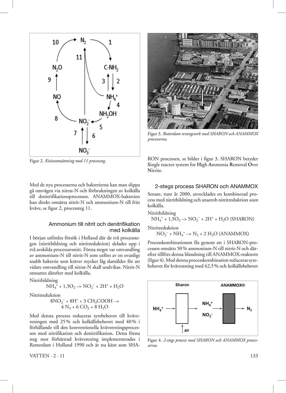 ANAMMOX-bakterien kan direkt omsätta nitrit-n och ammonium-n till fritt kväve, se figur 2, processteg 11.