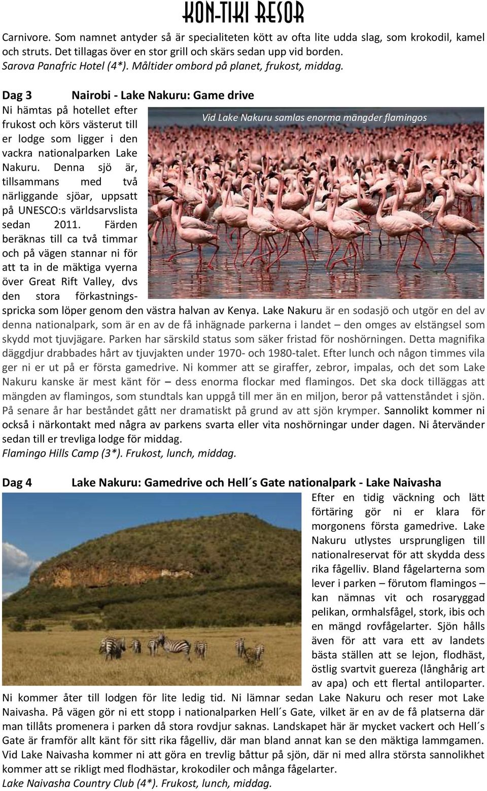 Dag 3 Nairobi - Lake Nakuru: Game drive Ni hämtas på hotellet efter Vid Lake Nakuru samlas enorma mängder flamingos frukost och körs västerut till er lodge som ligger i den vackra nationalparken Lake