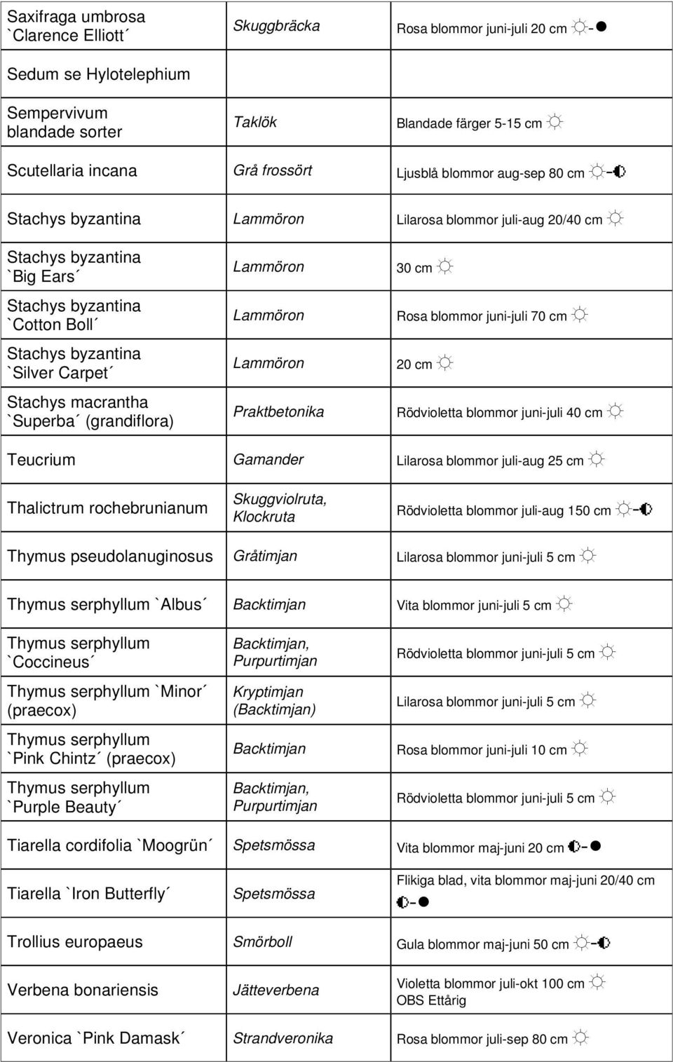 `Superba (grandiflora) Lammöron Lammöron Lammöron Praktbetonika 30 cm Rosa blommor juni-juli 70 cm 20 cm Rödvioletta blommor juni-juli 40 cm Teucrium Gamander Lilarosa blommor juli-aug 25 cm