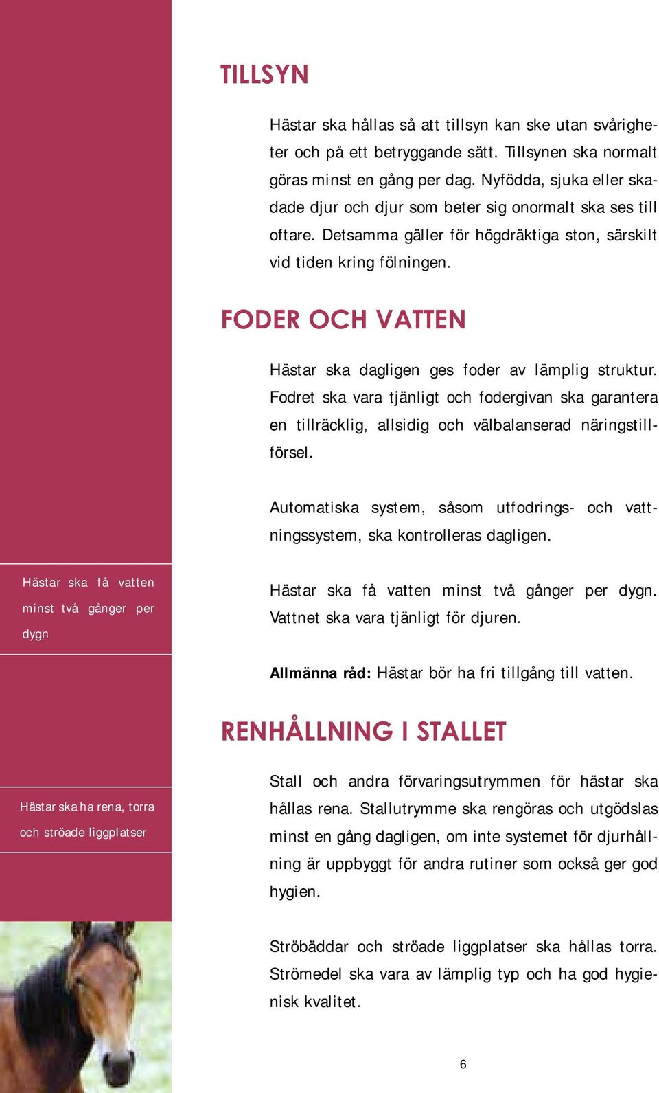 FODER OCH VATTEN Hästar ska dagligen ges foder av lämplig struktur. Fodret ska vara tjänligt och fodergivan ska garantera en tillräcklig, allsidig och välbalanserad näringstillförsel.