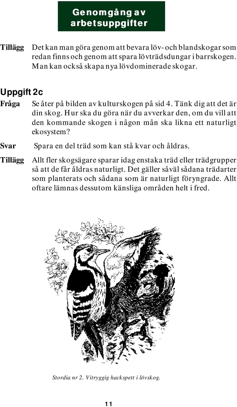 Hur ska du göra när du avverkar den, om du vill att den kommande skogen i någon mån ska likna ett naturligt ekosystem? Spara en del träd som kan stå kvar och åldras.