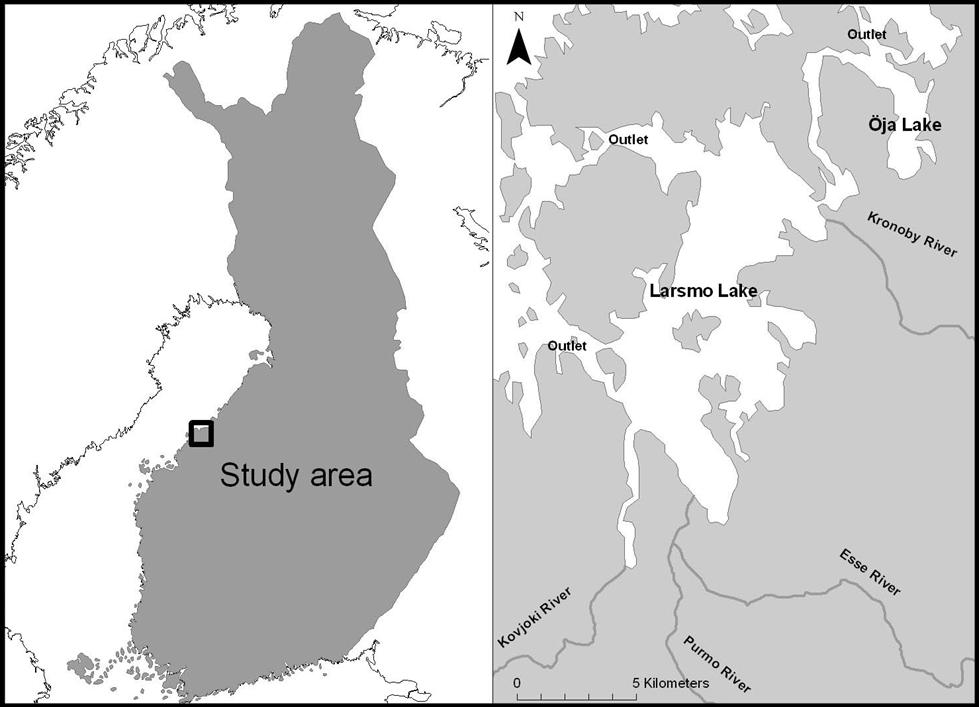 % Påverkan av SSJ på vattenkvaliteten (forts) Småvattendrag är känsligare för urlakning från SSJ än stora vattendrag (sämre buffrings- och utspädningsförmåga) På grund av detta tillför