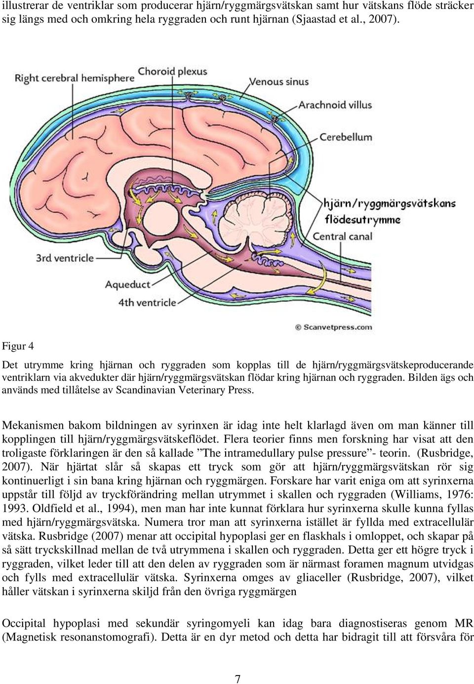 Bilden ägs och används med tillåtelse av Scandinavian Veterinary Press.