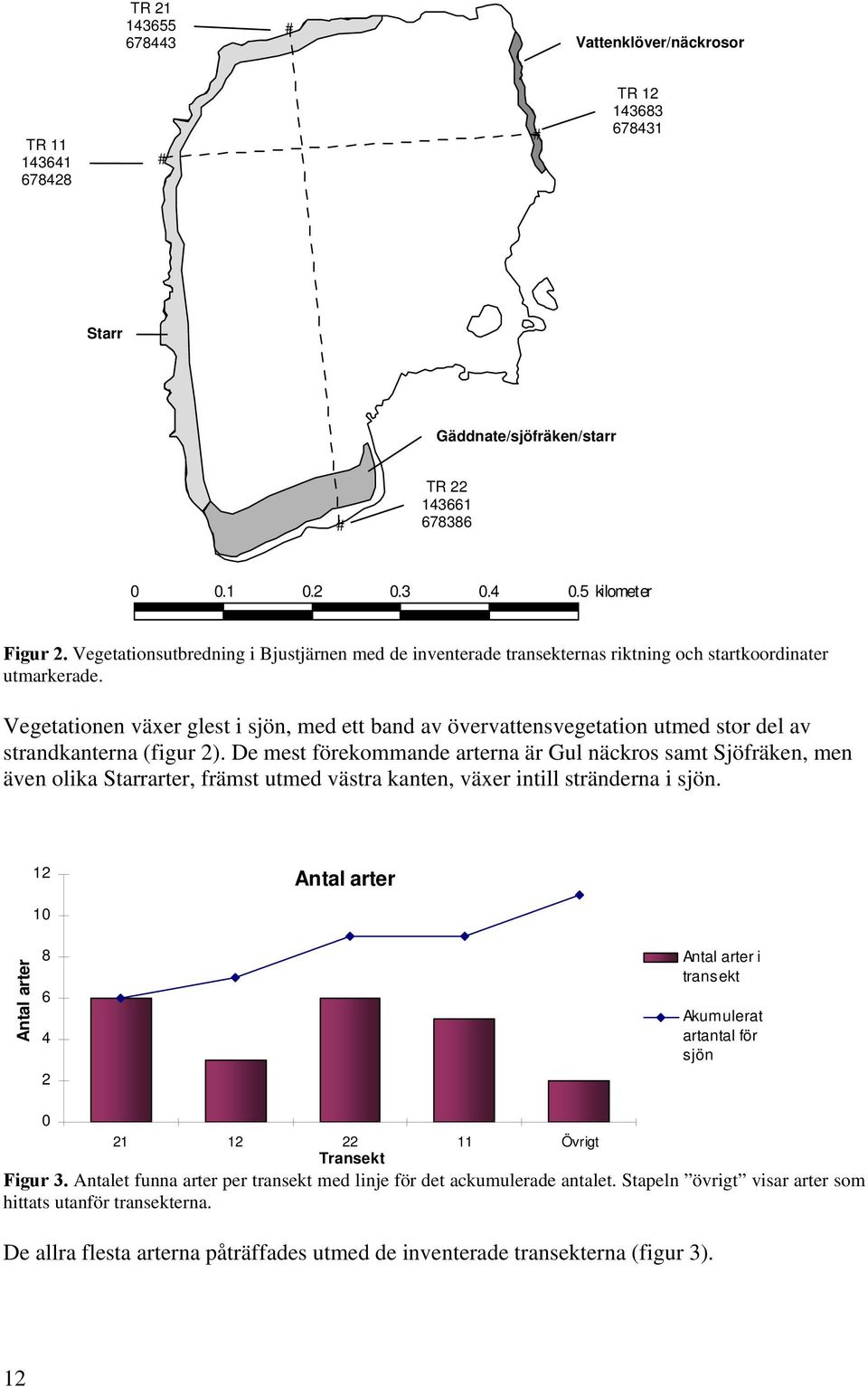 Vegetationen växer glest i sjön, med ett band av övervattensvegetation utmed stor del av strandkanterna (figur 2).