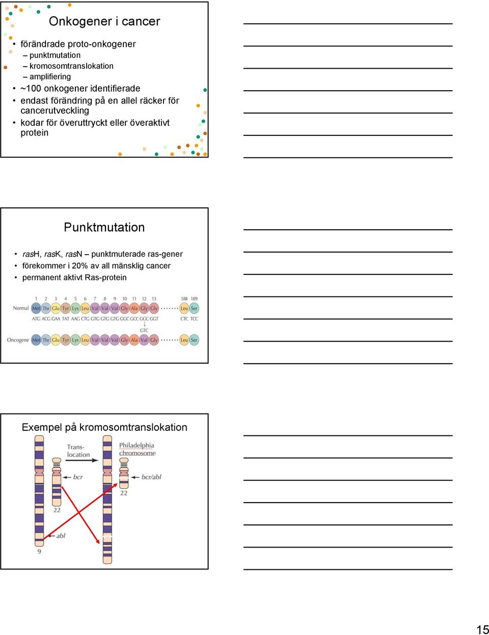 överuttryckt eller överaktivt protein Punktmutation rash, rask, rasn punktmuterade ras-gener