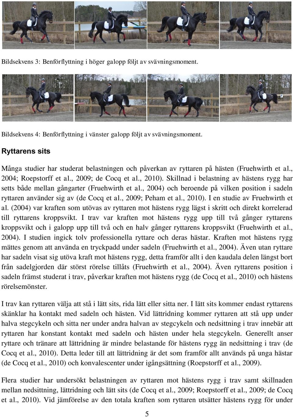 Skillnad i belastning av hästens rygg har setts både mellan gångarter (Fruehwirth et al., 2004) och beroende på vilken position i sadeln ryttaren använder sig av (de Cocq et al., 2009; Peham et al.