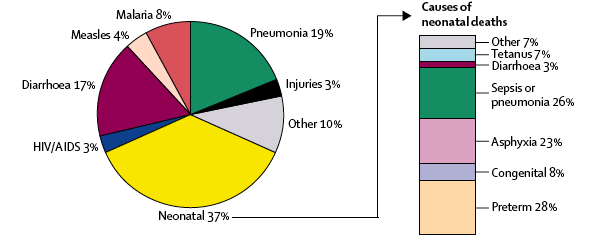 Causes of deaths among children < 5 years 37% x 28% = 10% J. Bryce, C.
