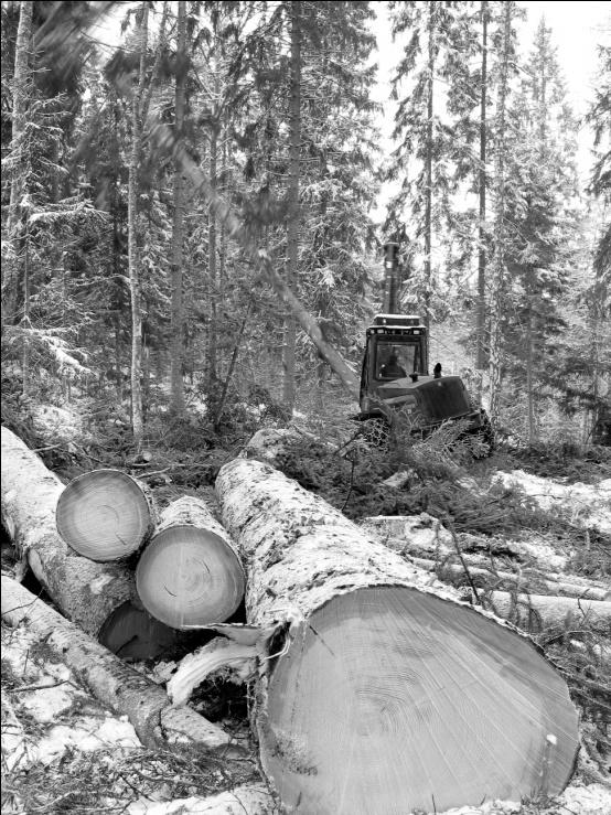Starkt fokus på skogsindustri Skogsvård, virkeshandel, avverkning, transporter mm Sågverk, vidareförädling och byggvaruhus Pappersindustri, logistik och