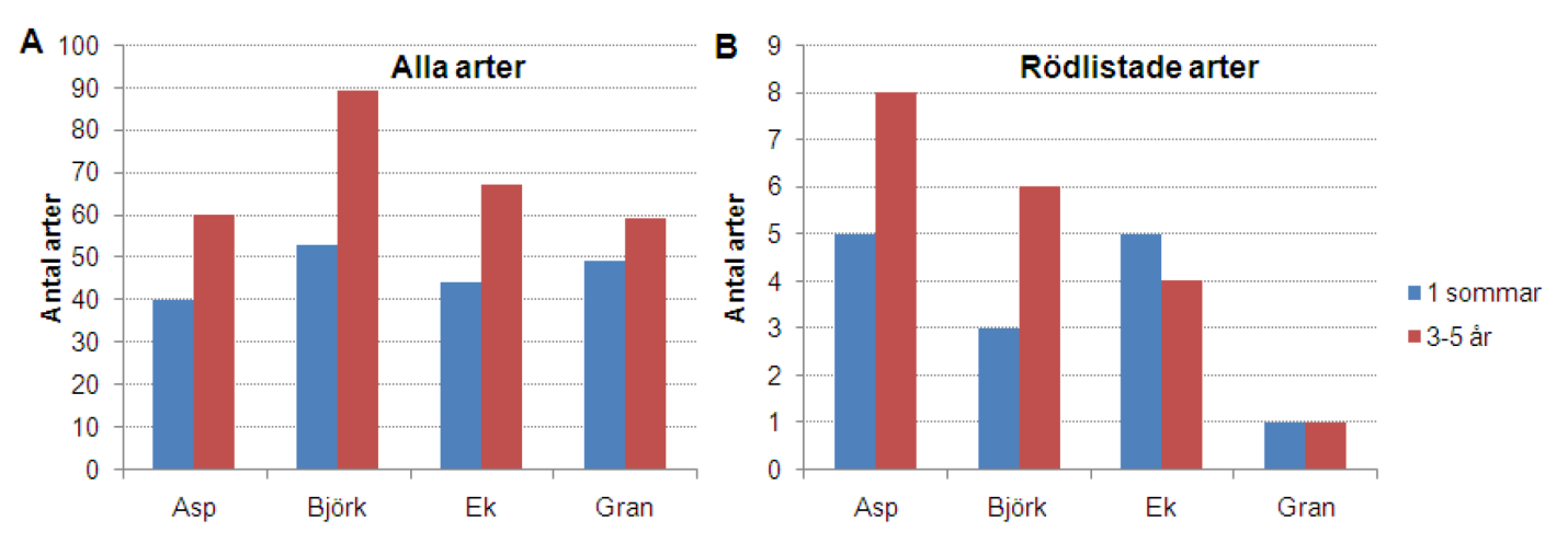 Figur 10.10. Totala antalet skalbaggsarter (A) och totala antalet rödlistade skalbaggsarter (B) som utvecklades i färska respektive 3-5 år gamla avverkningsrester (grot) av fyra olika trädslag.