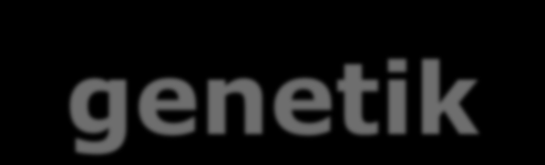 1850 1860 1870 1880 1890 1900 1910 1920 1930 1940 1950 1960 1970 1980 1990 2000 Milstolpar inom evolutionär genetik Origin publiceras 1859 Mendels forskning om genetik publiceras 1866