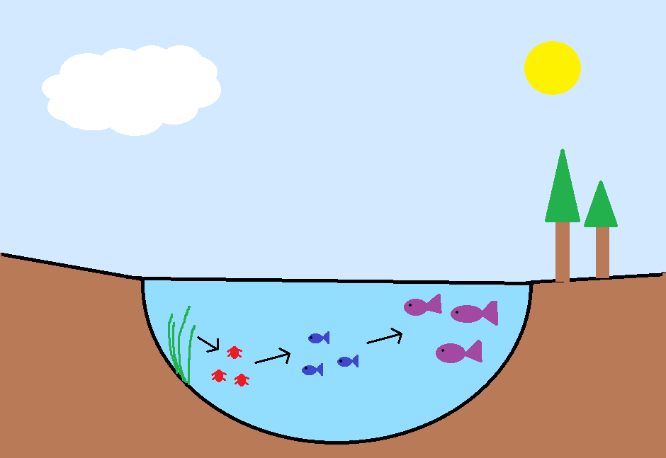 Uppgift årskurs 1-3 I den här sjön finns det växtplankton (gröna) som äts av djurplankton (röda) som äts av småfiskar (blåa) som äts av rovfiskar (lila).