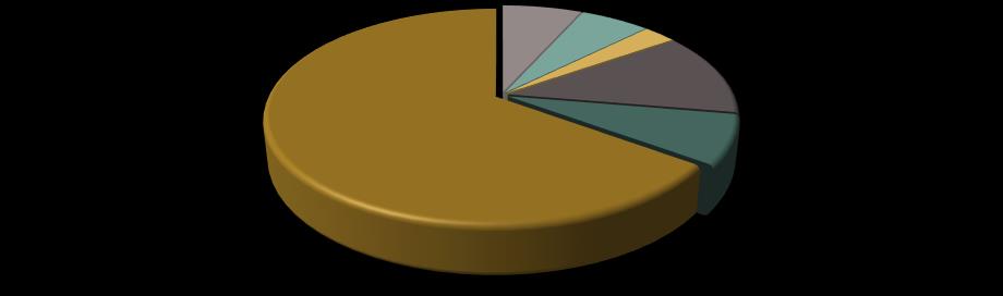 Sida 15 Budget Budget Hyresintäkter 6% Projekt Fondbidrag 17% Förvaltning Administration 13% INTÄKTER Deltagarintäkter & Medlemsavgifter 18% Försäljning & Övr.