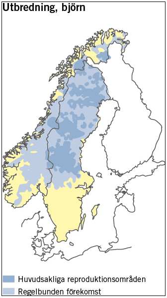 Skador från björn är begränsade till renskötselns vår- och sommarbetesområden och då framför allt till kalvningsområdena.