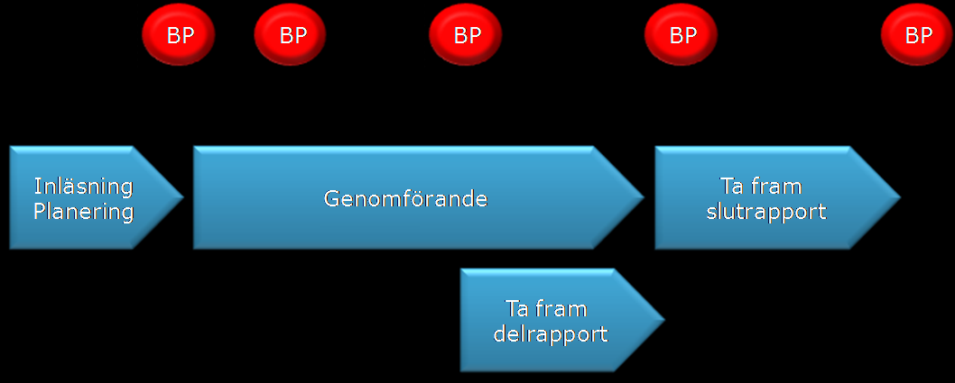 Projektplan 1.0 4 av 7 5.