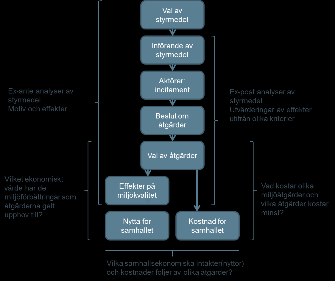 styrmedel eller ändringar av existerande styrmedel, och ex post-analyser, dvs. analyser som utvärderar redan införda styrmedel.