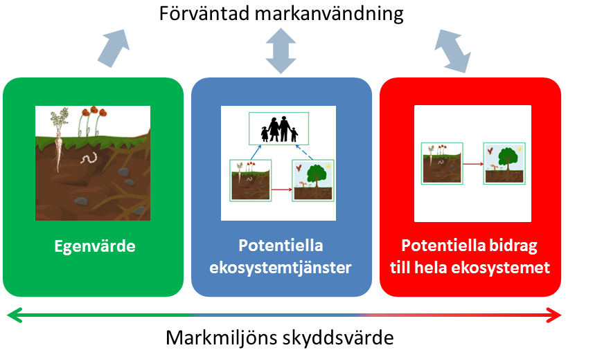 Markmiljöns skyddsvärde kan därmed beskrivas med hjälp av följande tre värdekomponenter: Markmiljöns egenvärde Markmiljöns potentiella ekosystemtjänster samt potentiella bidrag till övriga