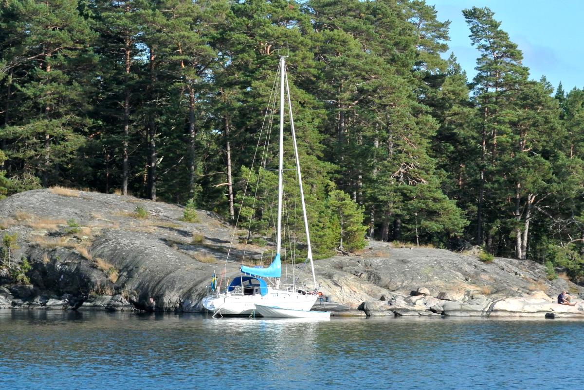 Ny undersökning visar: 14 procent av svenska hushåll äger fritidsbåt Ungefär 14 procent av alla svenska hushåll äger fritidsbåt. Varje båt används i genomsnitt 16 dagar per år.